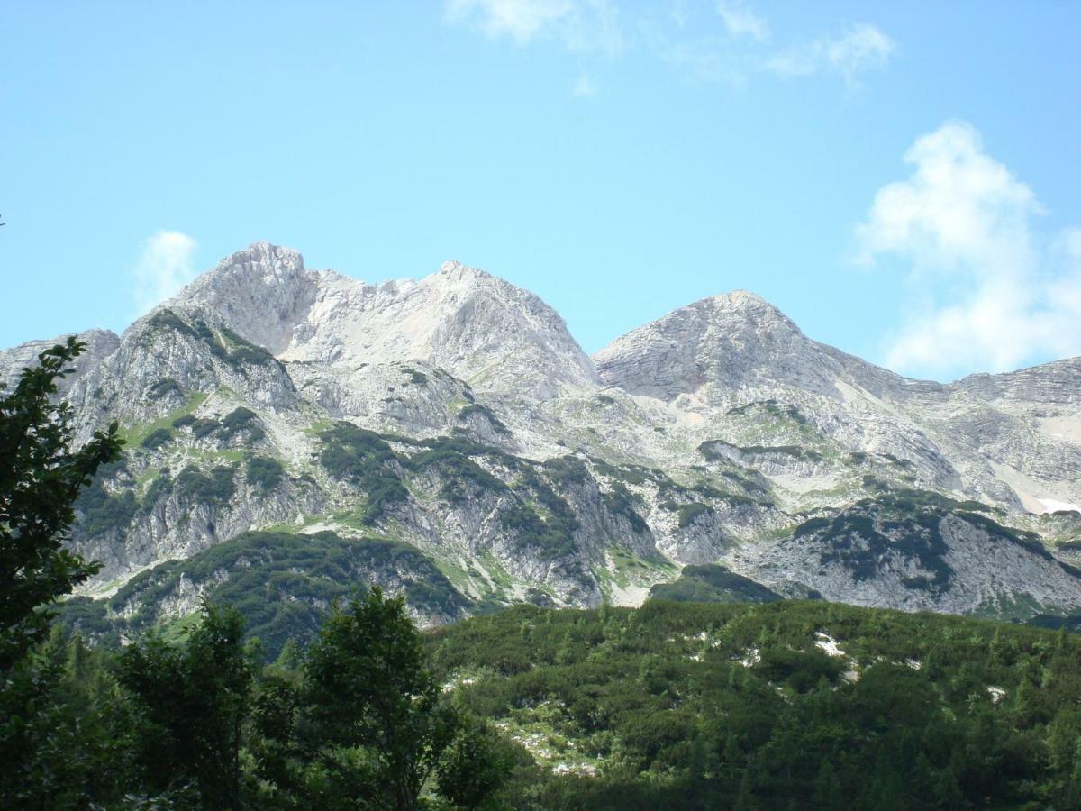 Apartment Amazing View Bohinj Exterior photo